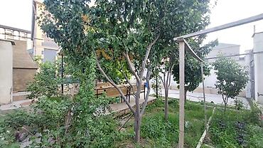 Həyət evləri və villaların satışı: 6 otaqlı, 200 kv. m, Kredit yoxdur, Yeni təmirli — 2