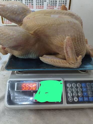 домашние попугаи корелла: Мясо индейки на заказ Диетическое,низкокалорийное индейка хорошо