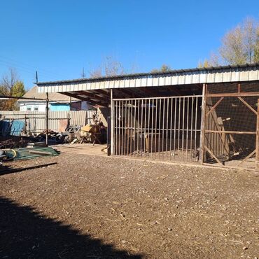 Продажа домов: Дом, 150 м², 5 комнат, Собственник, Евроремонт — 23