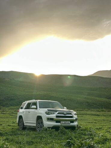Toyota: Toyota 4Runner: 2010 г., 4 л, Автомат, Бензин, Внедорожник