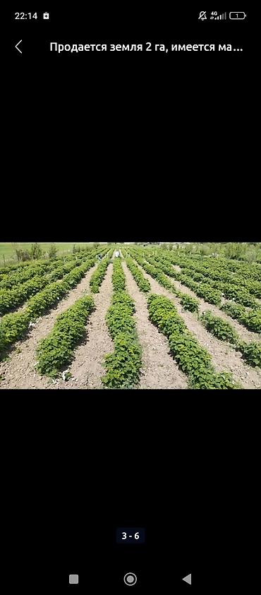 Продажа участков: 200 соток, Для бизнеса, Договор купли-продажи at lalafo.kg — 16 Продажа участков: 200 соток, Для бизнеса, Договор купли-продажи — 16