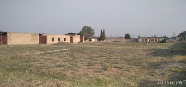 6339 elan | TORPAQ: 80 sot, Kənd təsərrüfatı, Mülkiyyətçi, Kupça (Çıxarış)