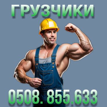 учитель биологии: Жүк ташуучу. 6 жылдан ашык тажрыйба