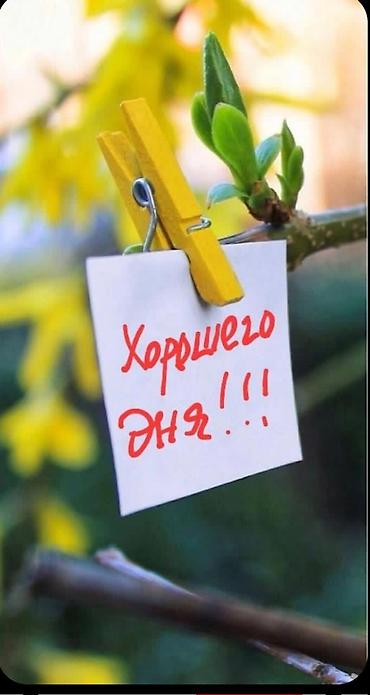 ламбард золото: Требуется мастер по ремонту обуви в сапожную мастерскую аренда 3.000 — 1