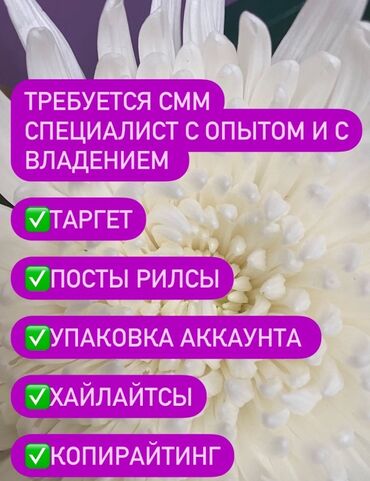 работа в бишкеке упаковка: SMM-адиси. Весна СБ