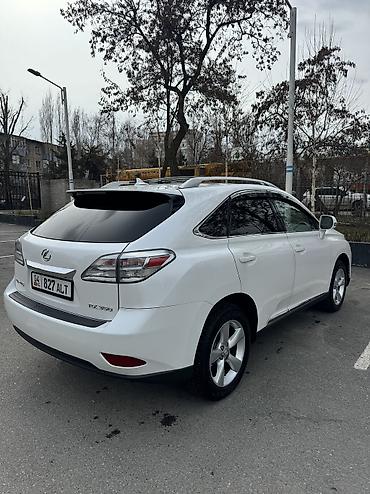 Lexus: Lexus RX: 2009 г., 3.5 л, Автомат, Бензин, Кроссовер — 5