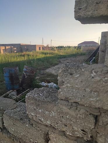 hovsan qəs: Mehemmedli qesebesi zeytun bagiyla uzbe uz 8 soot kupcali torpaq — 6