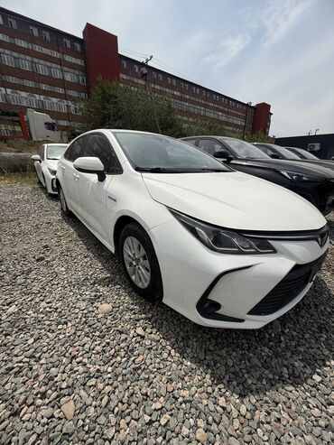 купить машину шевроле: Toyota Corolla: 2019 г., 1.8 л, Автоматтык, Гибрид, Седан