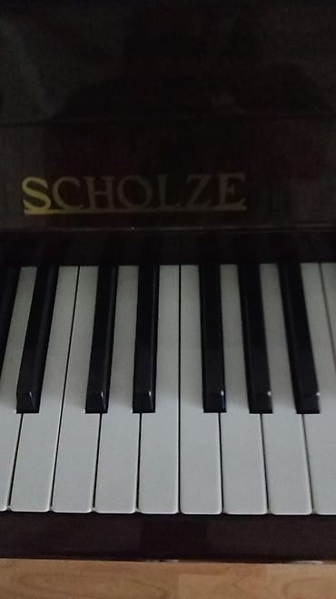 Musiqi alətləri: Piano, Akustik, Yeni, Ödənişli çatdırılma — 1