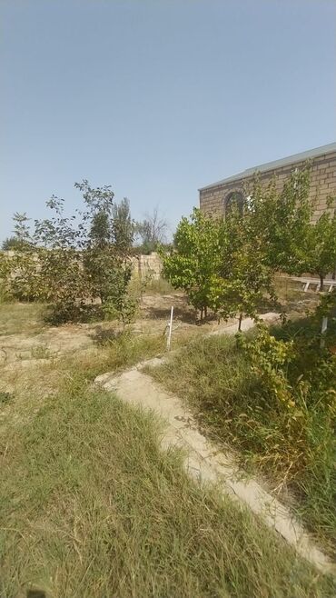 qobuda satılan evlər: 2 otaqlı, 65 kv. m, Kredit yoxdur, Orta təmir