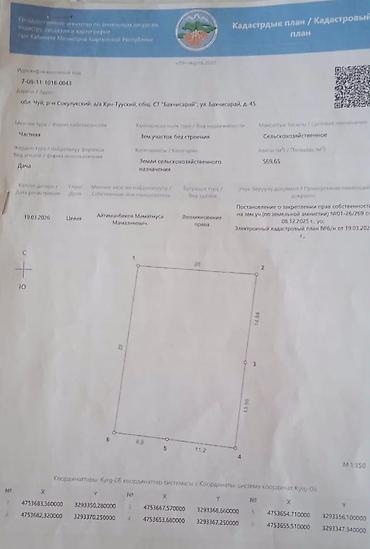 продовец дордой: Продаётся дачный участок 5,7 сотки в СТ «Бахчисарай» (Чуйская обл. — 1