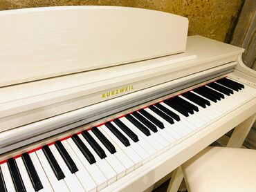 Музыкальные инструменты: Koreya istehsali olan dünya şöhrətli Kurzweil pianoları. Sevimli