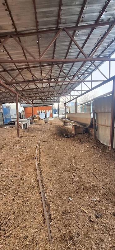 Продажа домов: Дом, 52 м², 2 комнаты, Собственник, Старый ремонт — 10