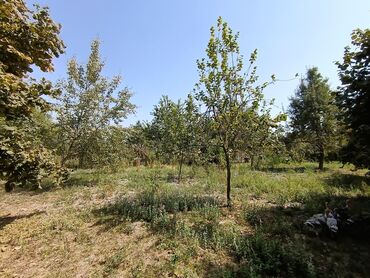 Torpaq sahələrinin satışı: 22 sot, Kənd təsərrüfatı, Mülkiyyətçi, Kupça (Çıxarış) — 3