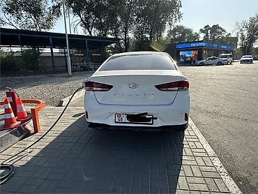 sonat: Hyundai Sonata: 2019 г., 2 л, Автомат, Газ, Седан — 4