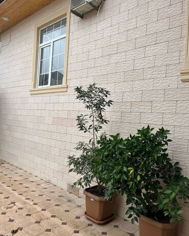 Dekorativ daşlar: Mermerden istehsal olunan bütün növ tamet daşları divar üzlükləri -da lalafo.az — 18 Dekorativ daşlar: Mermerden istehsal olunan bütün növ tamet daşları divar üzlükləri — 18