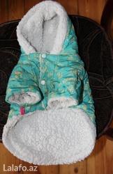 аксессуары для волнистых попугаев: Куртка с капюшоном 16 размер. Почти новая т. к у меня кошка и я пару