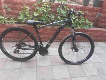 Şəhər velosipedləri: İşlənmiş Şəhər velosipedi 26", sürətlərin sayı: 1, Ünvandan götürmə