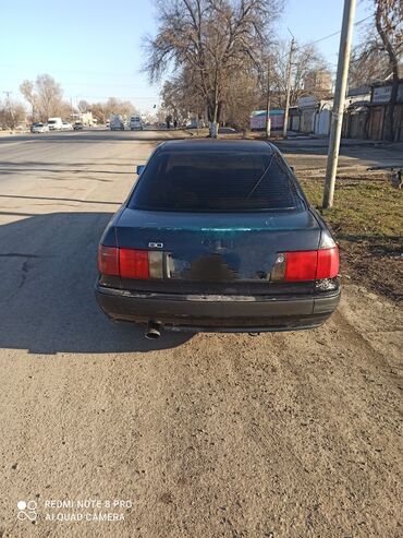беде урук баасы in Кыргызстан | ҮРӨНДӨР ЖАНА КӨЧӨ ӨСҮМДҮКТӨРҮ: Audi 80 2 л. 1993