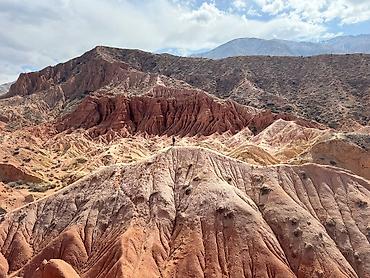 Посуточная аренда домов: Гостевой домик-студия (садовый домик/мини-дача) - Планировка: одна — 18