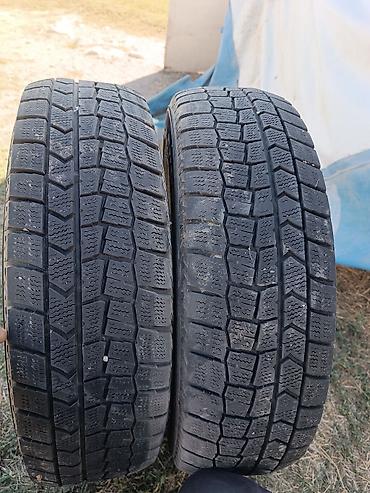 Шины: Шины 175 / 70 / R 14, Зима, Б/у, Пара, Легковые, Япония, Dunlop — 1
