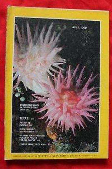 Knjige: NATIONAL GEOGRAPHIC APRIL 1980. | National Geographic April 1980 — 15