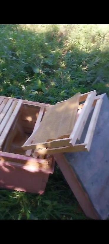 Arı yeşikləri: Arı pətəyi (taxta korpus) - Material: qalın taxta lövhələrdən — 7