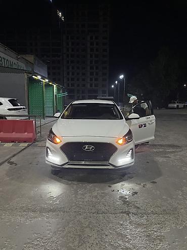 byd l: Hyundai Sonata: 2021 г., 2 л, Автомат, Газ, Седан — 2