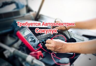 работа в бишкеке официант без опыта: Требуется Автоэлектрик, Оплата Ежедневно, Процент от дохода, 1-2 года опыта