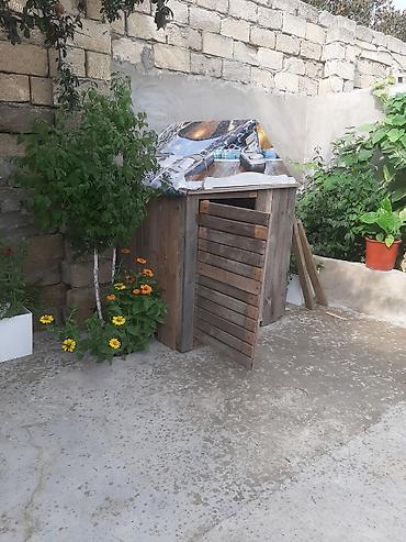 göyərçin satışı: Yuva satilir unvan visnofka isteyen elaqe saxlasin temiz taxtadan — 1
