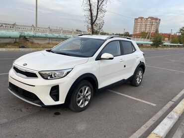 фит климат контроль: Kia Stonic: 2018 г., 1.4 л, Автомат, Бензин, Кроссовер