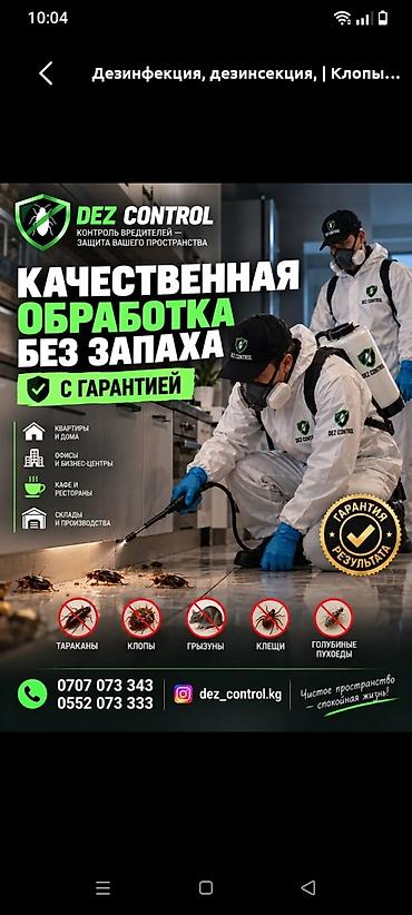 Дезинфекция, дезинсекция, | Муравьи, | Квартиры