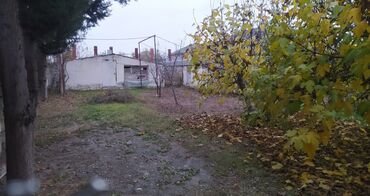 Torpaq sahələrinin satışı: 10 sot, Biznes üçün, Mülkiyyətçi, Kupça (Çıxarış) — 1