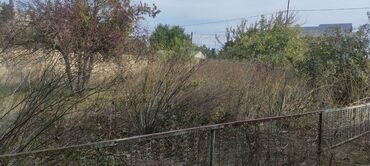 Bağ evlərinin satışı: Bağ sahəsi və köhnə tikili - Geniş, yaşıllıqla əhatələnmiş bağ — 8