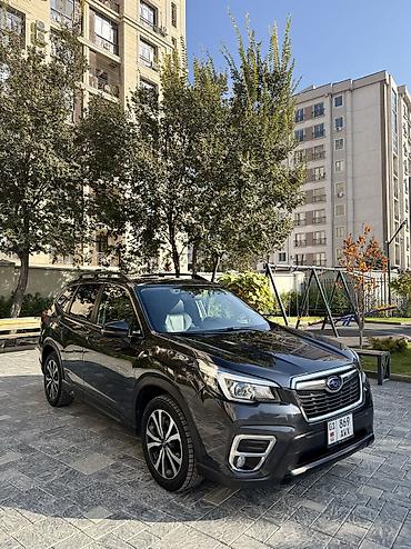 subaru oudback: Subaru Forester: 2019 г., 2.5 л, Вариатор, Бензин, Кроссовер — 3