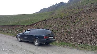 wv т4: Volkswagen Passat Variant: 1994 г., Универсал — 2