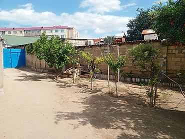 qobu ev: 3 otaqlı, 63 kv. m, Kredit yoxdur, Təmirsiz — 2
