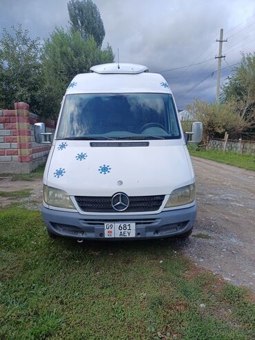 спринтер с холодильником: Mercedes-Benz Sprinter: 2004 г., 2.2 л, Механика, Дизель, Бус