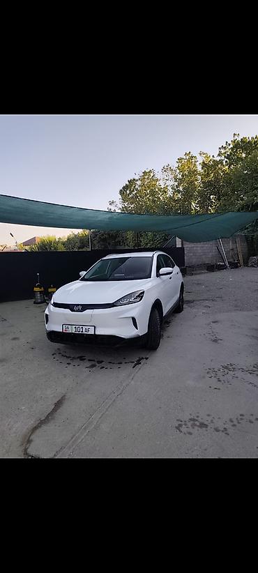 argb controller: Weltmeister EX5, 2021 г., Передний, В наличии — 1