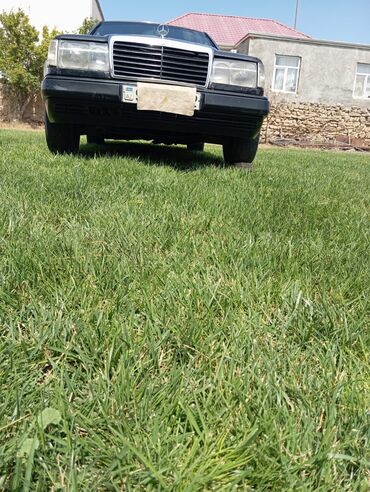 Mercedes-Benz: Mercedes-Benz 250: 2.5 l | 1991 il Van body type — 2