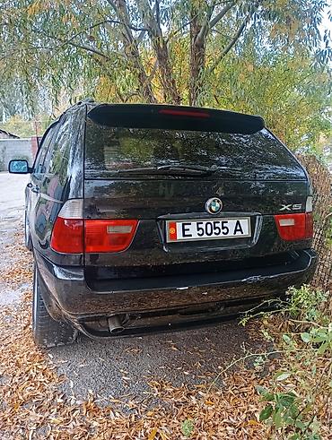 led лампа на авто: BMW X5: 2002 г., Автомат, Кроссовер — 6