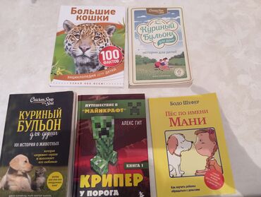 история кыргызстана 9 класс билеты: Продаю книги б/у 5 шт, все в хорошем состоянии, самовывоз из Тунгуча