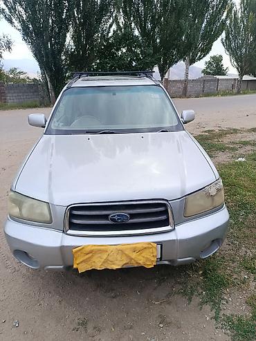 Продажа авто: Subaru Forester: 2005 г., 2 л, Автомат, Бензин, Универсал — 3