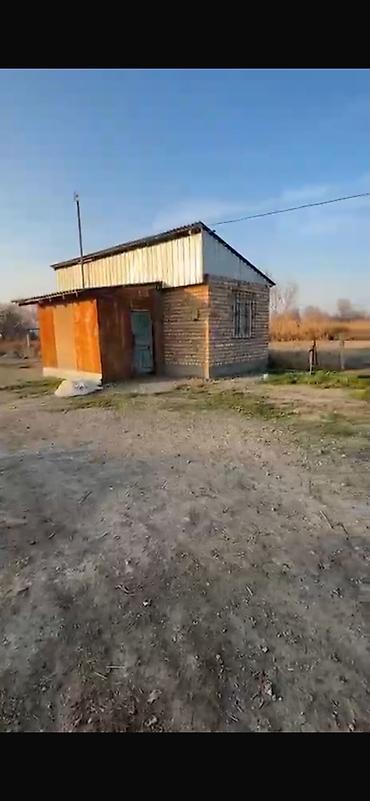алтын казык ж м: 7 соток, Красная книга — 2