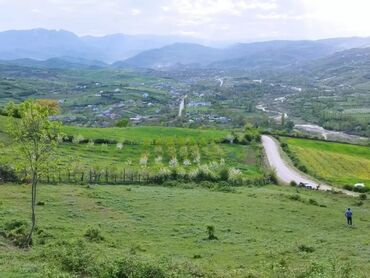 göycayda torpaq: 48 sot, Kənd təsərrüfatı, Barter mümkündür, Kupça (Çıxarış)