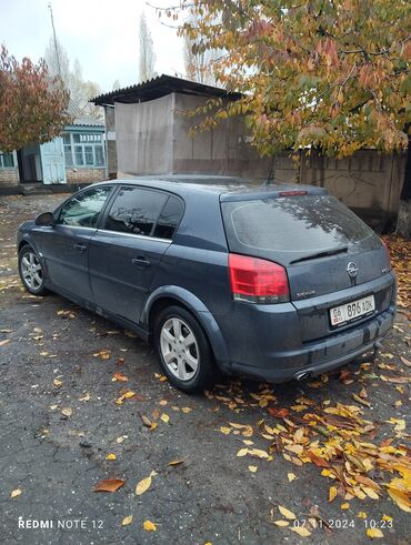 машина на кредит: Opel Signum: 2006 г., 1.9 л, Автомат, Дизель