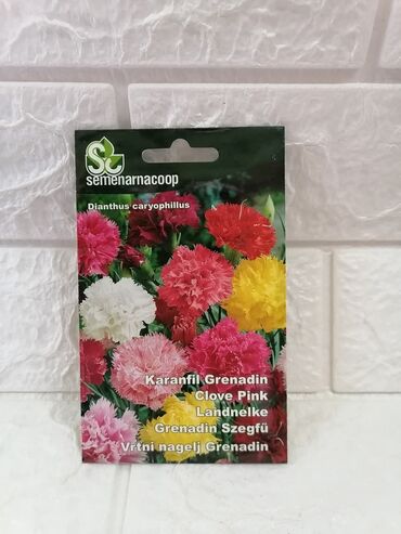 Semena i sadnice: Cena 500din/kesica — 30