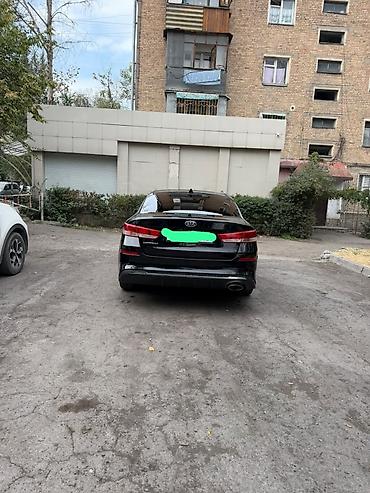 краска оптима: Kia Optima: 2019 г., 2.4 л, Автомат, Бензин, Седан — 10