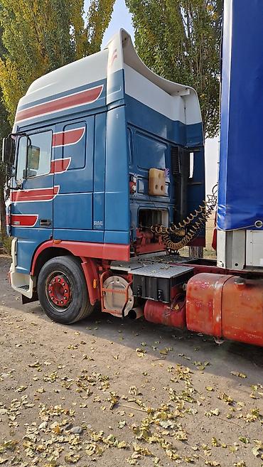 Тягачи: Тягач, DAF, 2004 г., Тентованный — 10