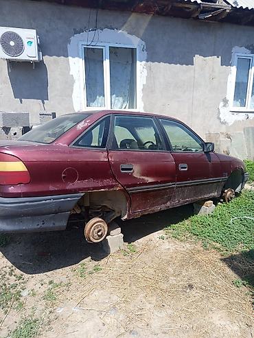 транс: Opel Astra: 1992 г., Механика, Бензин, Седан — 1